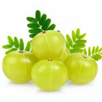 Amla / Gooseberry