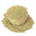 Bajra / Pearl Millet