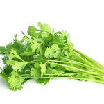 Coriander (Small Bunch)