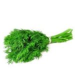 Dill / Sabsige (1 Bunch)