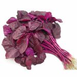 Amaranth - Red (1 Bunch)