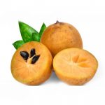 Sapota/Chickoo (Unripe)