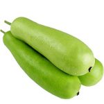 Bottle Gourd 1pc