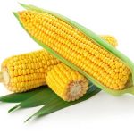 Sweet Corn 1pc