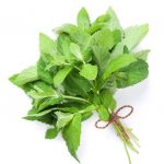 Mint (1 Bunch)