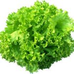 Lettuce - Green Leaf (1 Bunch / 300 g)