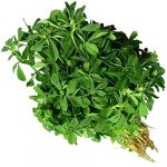 Methi Leaves (1 Bunch)