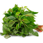 Harive Soppu (1 Bunch)