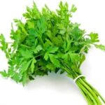 Parsley (1 Bunch)