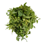 Gongura / Pundi (1 bunch)