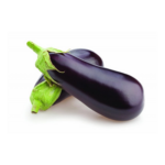 Brinjal Bottle